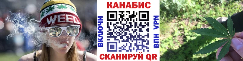 Конопля ГИДРОПОН  купить наркотик  Джанкой 